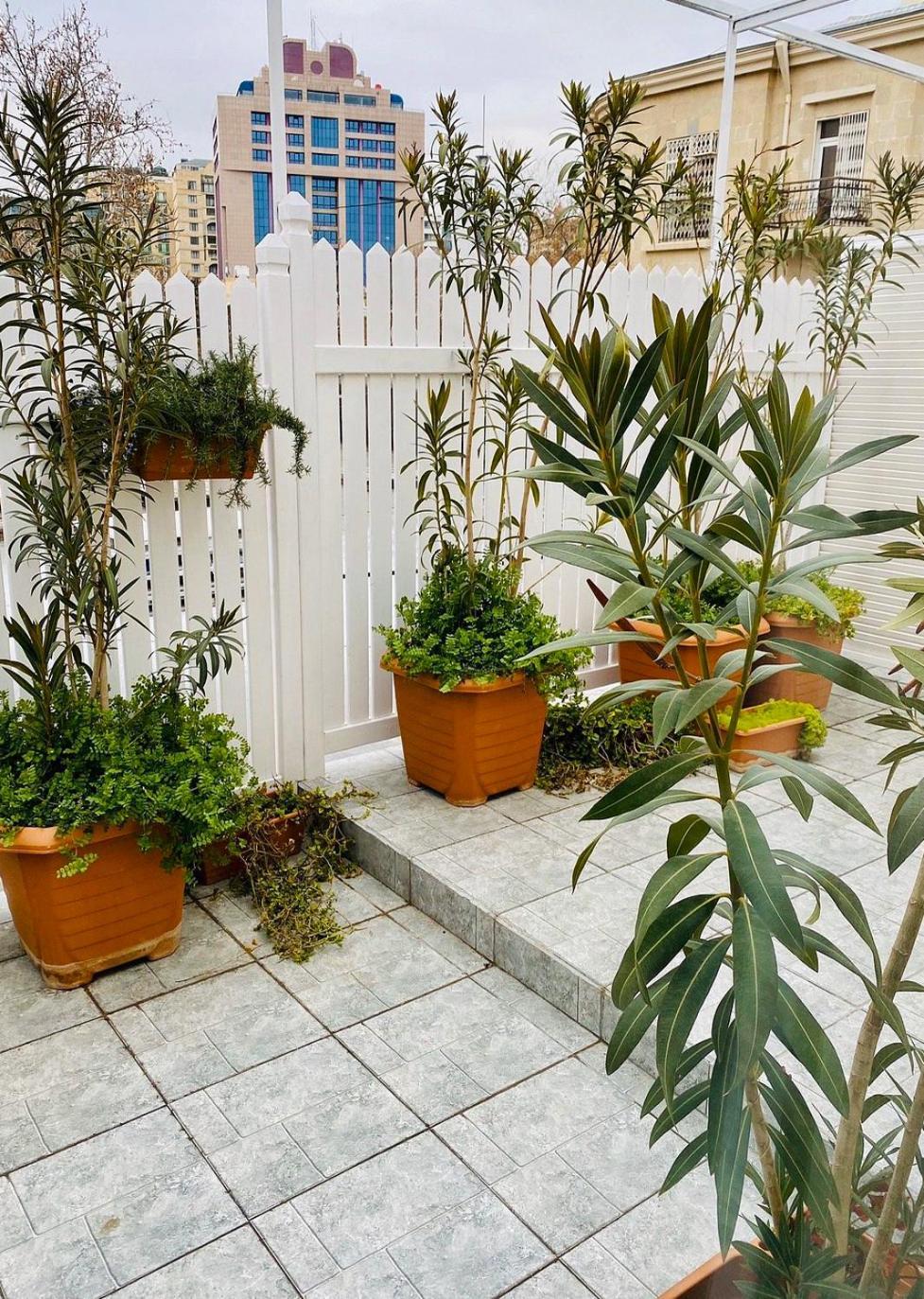 Zimmer Boutique Hotel باكو المظهر الخارجي الصورة